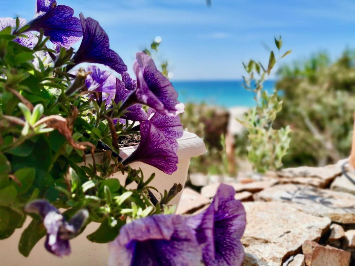 Апартаменты Beachfront House Geremeas Sardegna Экстерьер фото